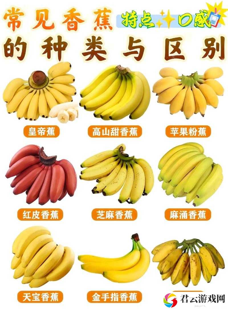 香蕉十八度和二十三度的区别：温度差异对其品质的影响探究