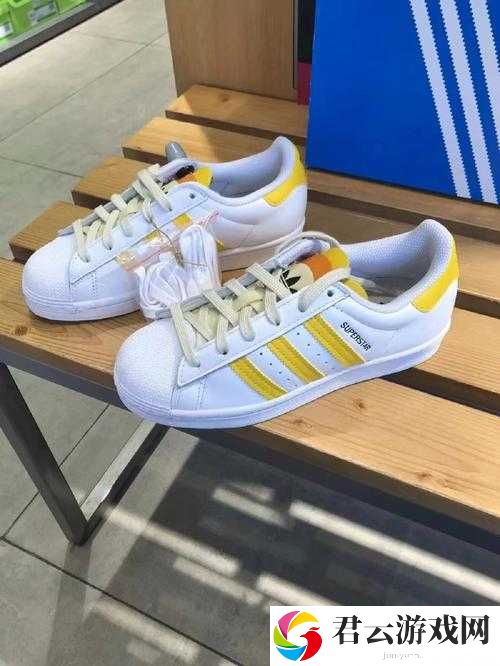 三叶草 gz6985 之独特魅力与相关介绍