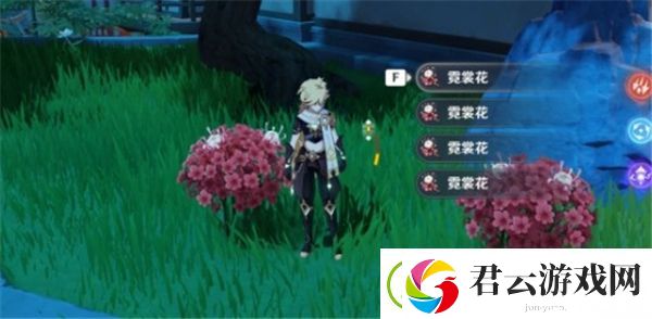 原神霓裳花在哪里