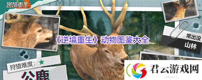 逆境重生动物图鉴大全-动物汇总