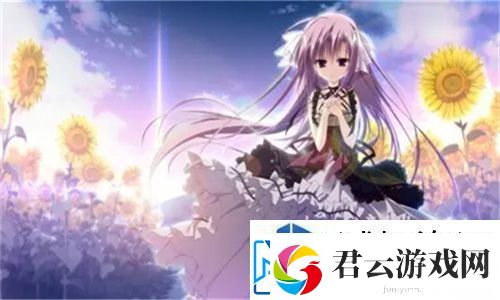 老奶奶vpswindows使用经验分享：带你走进新科技时代的温馨世界