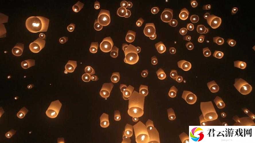 空中女士美国满天星的独特魅力与精彩呈现