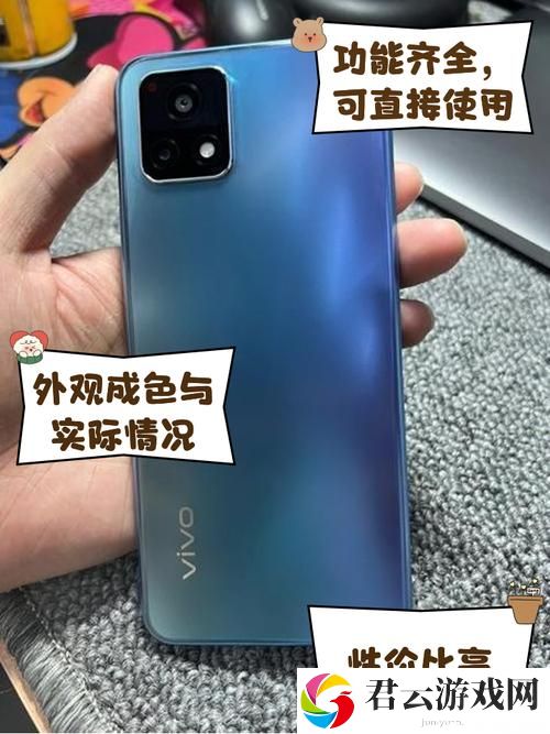 一级成色好的Y31S6标准版, 网友：真是物超所值