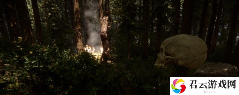 森林之子季节设置代码详细一览2025