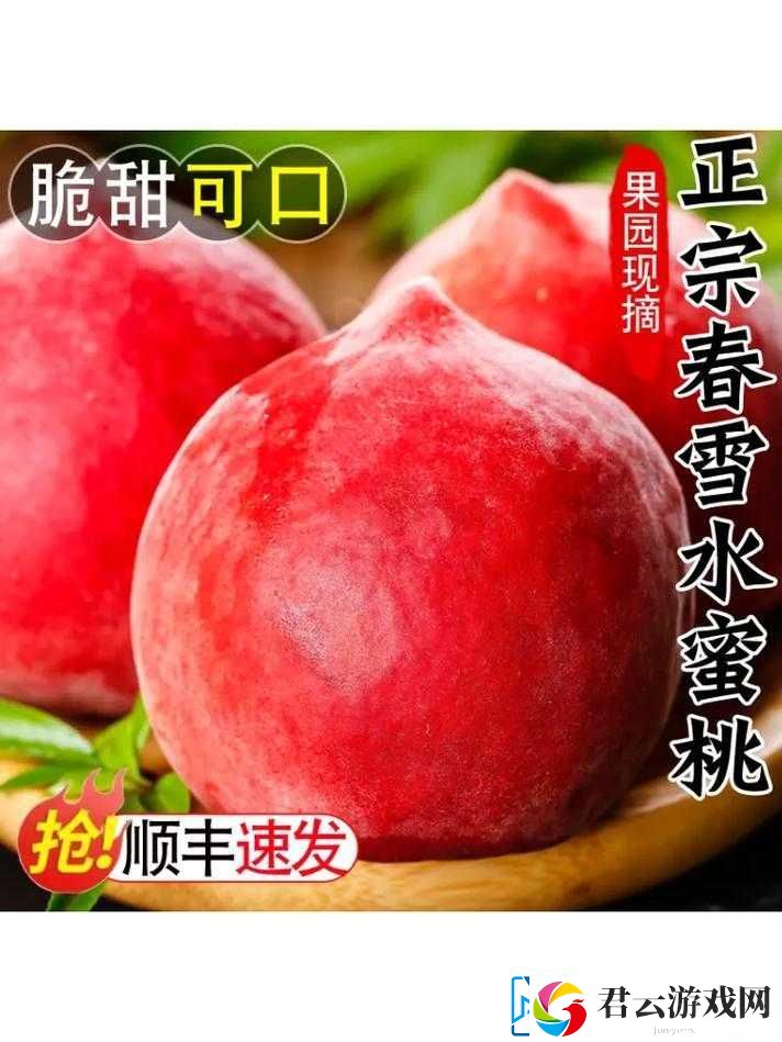 aj38-水蜜桃：甜蜜多汁口感佳的优质水果之选
