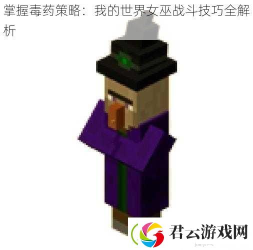掌握毒药策略：我的世界女巫战斗技巧全解析