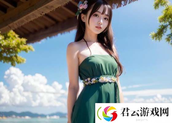 如何获取大地资源第二页中文高清版解析高清版与普通版的差异及其应用领域