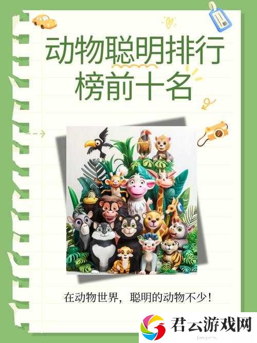 青青草原国产之神奇动物世界大冒险