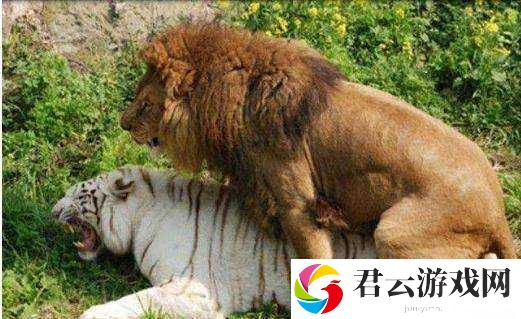 ：九色操逼：探索未知的性世界
