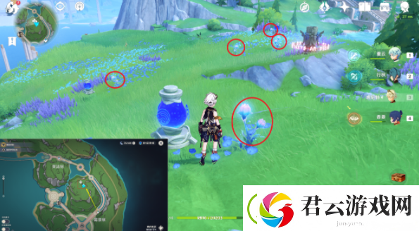 原神海露花在哪获得