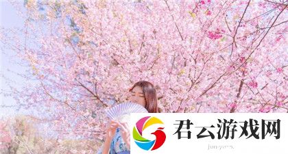 60多岁镖客奶奶：60多岁镖客奶奶的背景故事