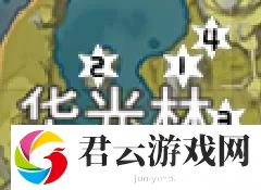 原神华光林岩神瞳位置一览-原神攻略