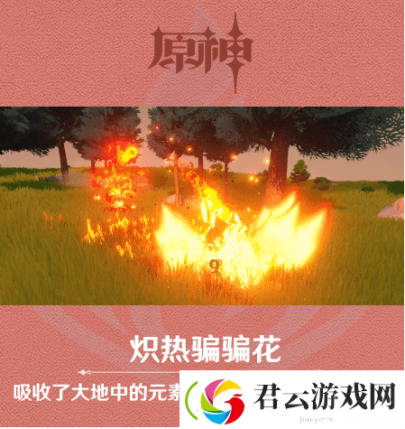 原神炽热骗骗花介绍