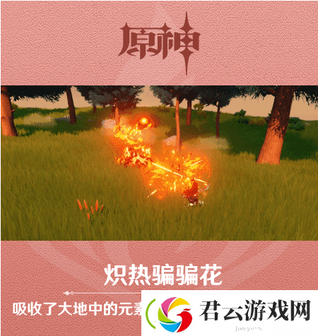 原神炽热骗骗花介绍