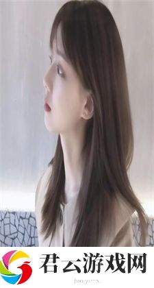 鉴黄师abb安装正版免费：完全免费