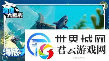 月圆之夜卡组图鉴：深度解析卡牌搭配与策略选择-带你全面掌握游戏精髓