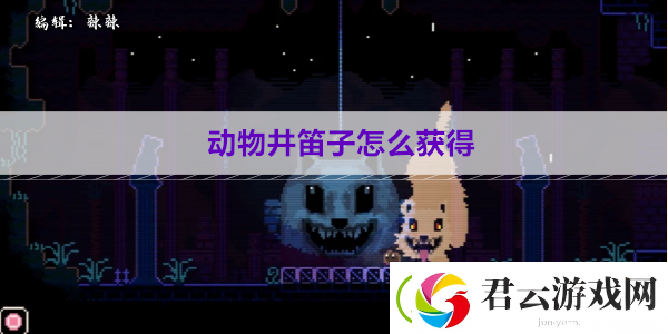 动物井笛子怎么获得