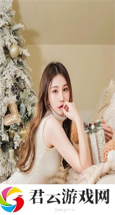 成品视频crm999：系统概述
