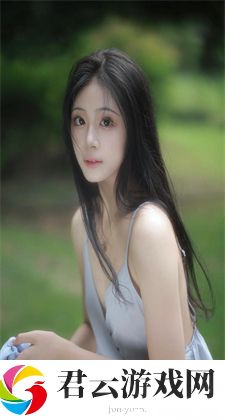 全民飞机：全民飞机的兴起与发展