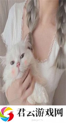 欧美一曲二曲三曲的区别小说：探寻其中的奥秘