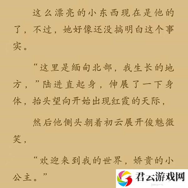这里是缅甸北部是什么梗-抖音这里是缅甸北部梗出处意思介绍