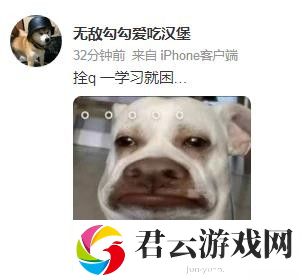 拴q是下头的意思吗-拴q是谢谢的意思吗