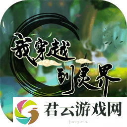 我穿越到灵界