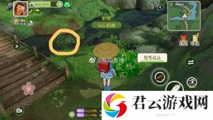 小森生活鲢鱼哪里概率高