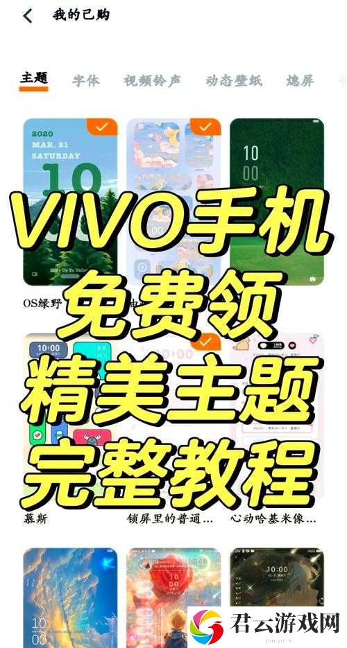 3.0.3vivo免费下载安装指南：如何轻松获取最新版本并完成安装