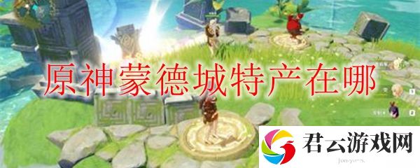 原神蒙德城特产在哪
