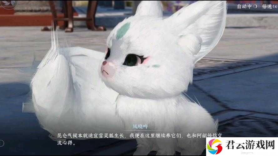 天涯明月刀手游雪狐宝宝究竟如何捕获？获取攻略全面深度解析