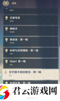 原神有一说一成就