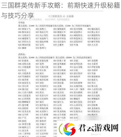 三国群英传新手攻略：前期快速升级秘籍与技巧分享