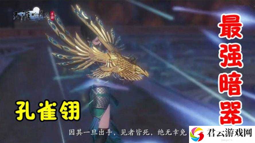 天涯明月刀手游孔雀翎该销毁还是保留？哪个选择才是明智之举？