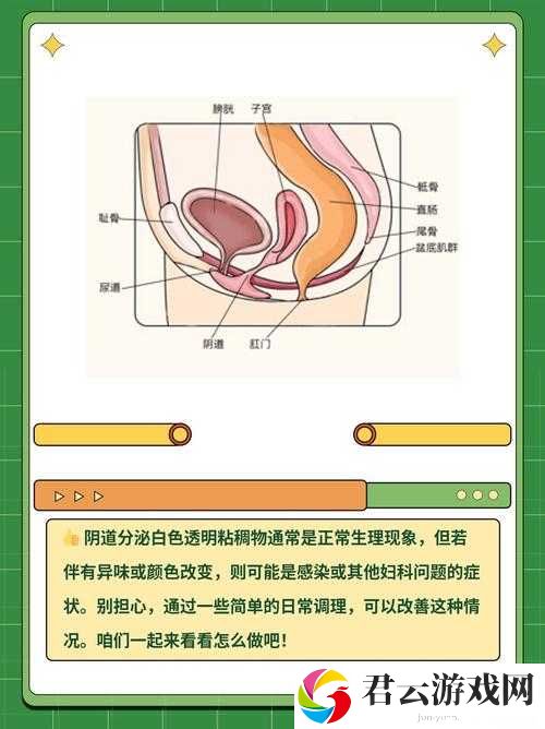 女性一硬就出粘液到底是怎么回事？探秘这一现象背后的原因