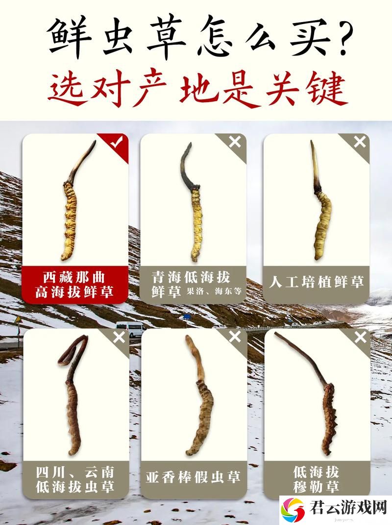 探秘嫩草精产一二三产区的新兴潜力