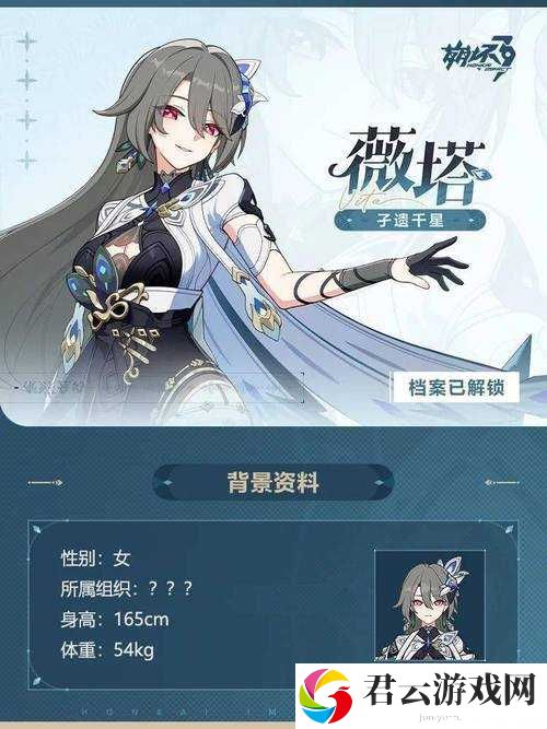 少年勇者团中的薇薇究竟如何？揭秘薇薇人物介绍在资源管理中的核心作用与高效运用策略