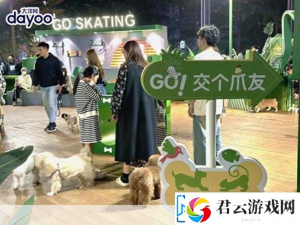 小森生活萌宠俱乐部-携爱犬共赴温馨之旅