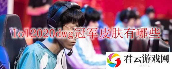 lol2020dwg冠军皮肤有哪些