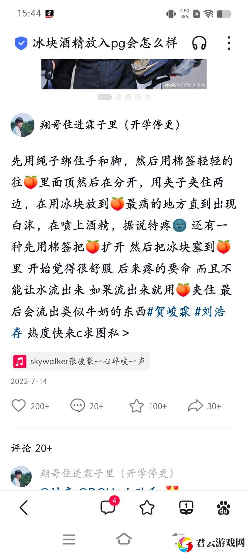 冰块放入小花园前面还是后面：选择影响园艺风格的秘密