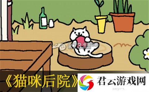 猫咪后院快速获得方法：应对大规模敌人的团战技巧