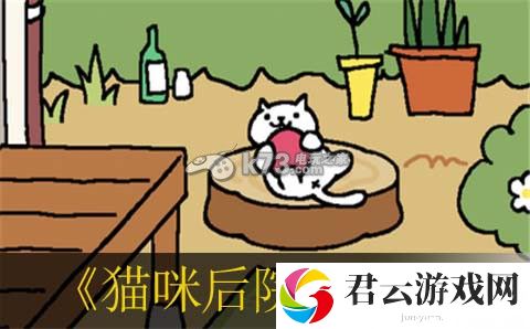 猫咪后院猫咪礼物翻译：在游戏中保持灵活变通