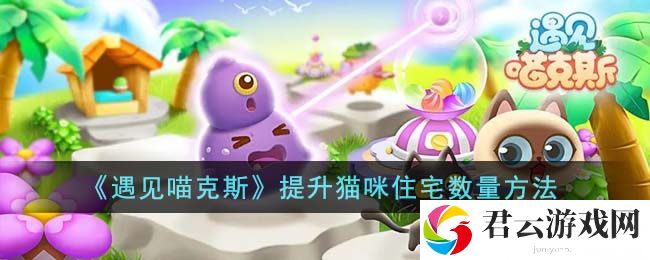 遇见喵克斯提升猫咪住宅数量方法