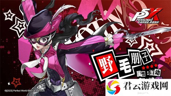 女神异闻录：夜幕魅影野毛朋子配队攻略介绍 战斗胜利全技巧解析