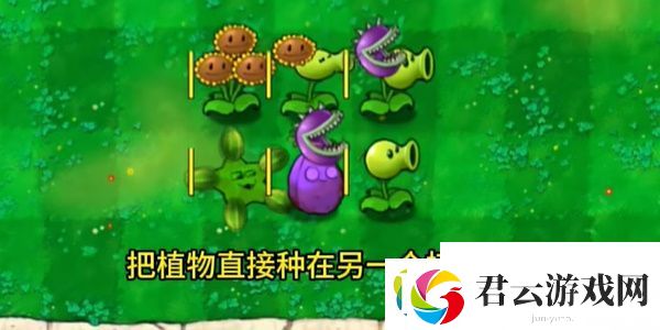 植物大战僵尸嫁接版怎么玩