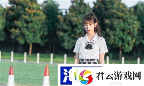 成品网站5668入口的功能介绍：全面解析多样化服务与便捷操作诺布攻略