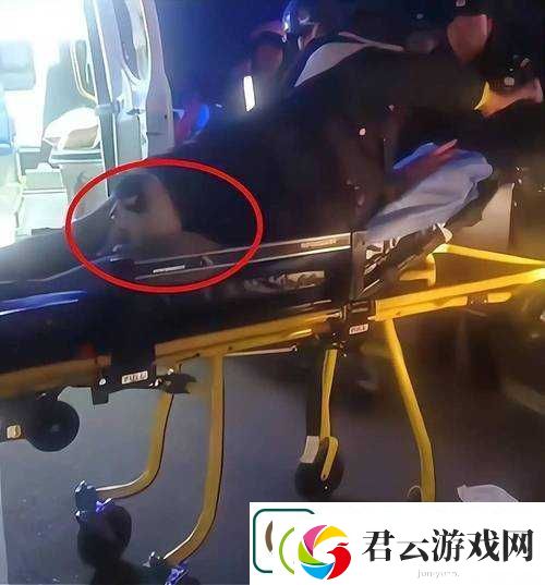 最新Zoom狗视频曝光：揭秘其独特行为与络爆红背后的秘密