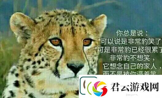 你不知道你不在乎你只关心你自己是什么梗络用语-你不知道你不在乎你只关心你自己梗意思及出处分享