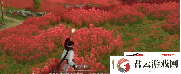逆水寒手游虎铃经如何获取
