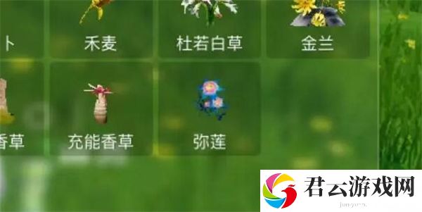 创造吧！我们的星球弥莲位置介绍 新手如何顺利过渡到高玩